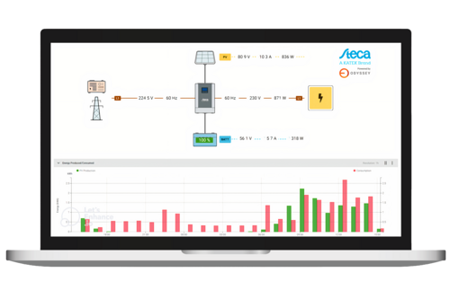 FernView dashboard notebook